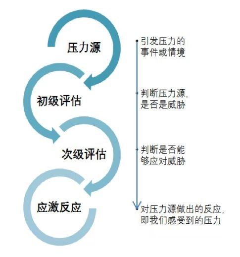 心理抗压：冠军车手的比赛心态揭秘的简单介绍