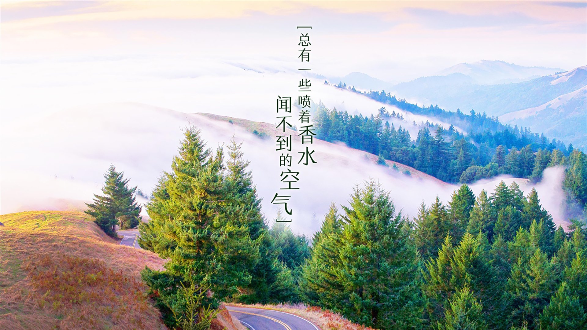 _专业运动员谈：训练中的最大挑战与突破_，运动员通过训练不断提高的竞技能力