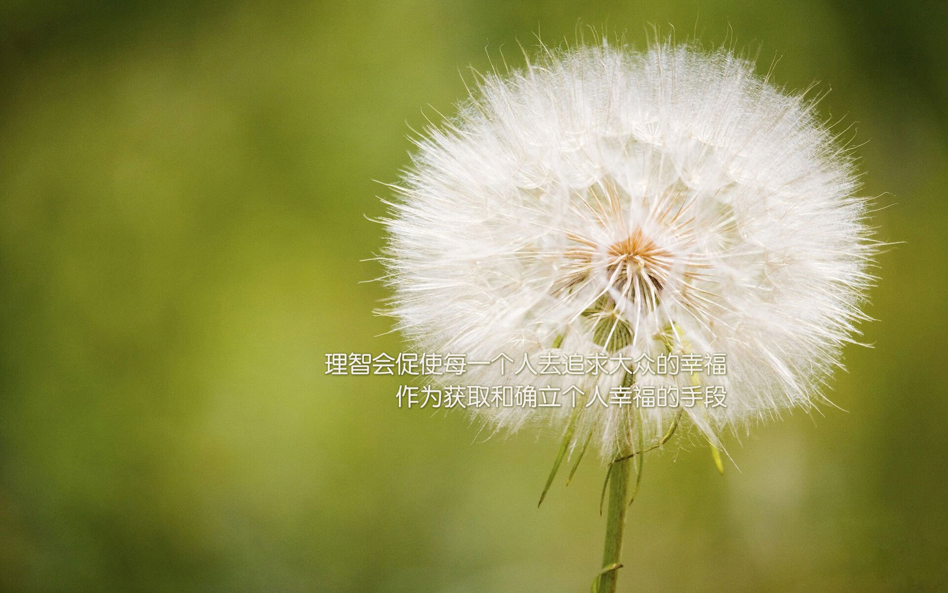 Jiuyou-“意甲劲旅状态火热，争夺欧冠席位”，意甲冠军分析