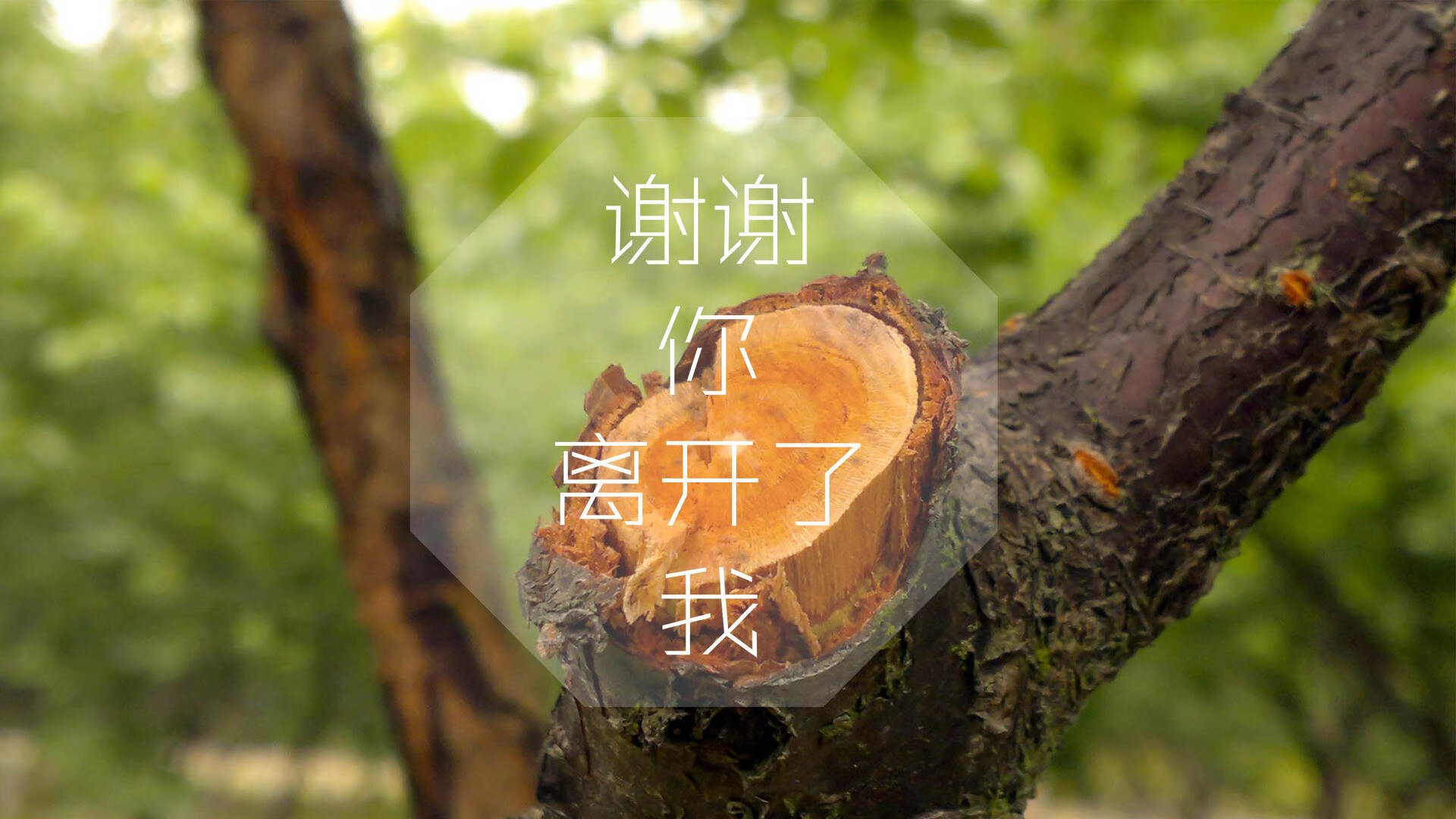 全国青少年“篮球创新杯”线上创新创业大赛正式启动，青少年篮球杯名字