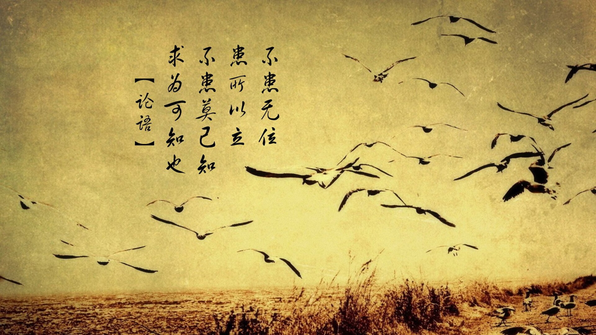 女足比赛球队团结一心，目标锁定胜利，女足小组