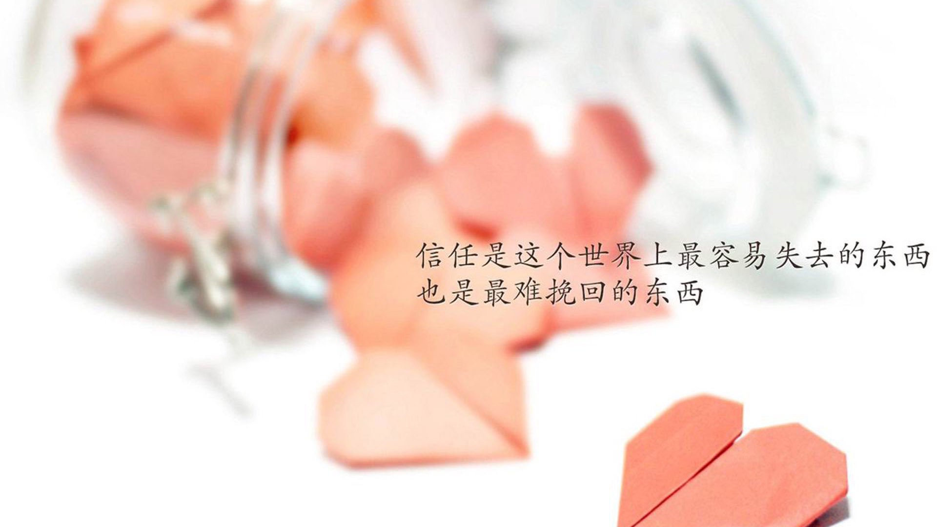 女足世界杯备战任务紧张有序，女足世界杯预选