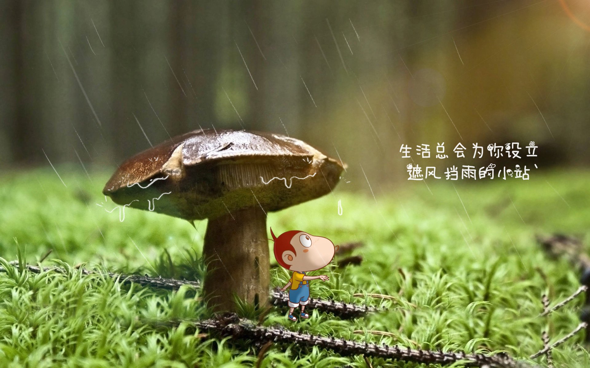 九游网页版官网-步行者队当家球星完美诠释团队合作精神，步行者球队球员名单