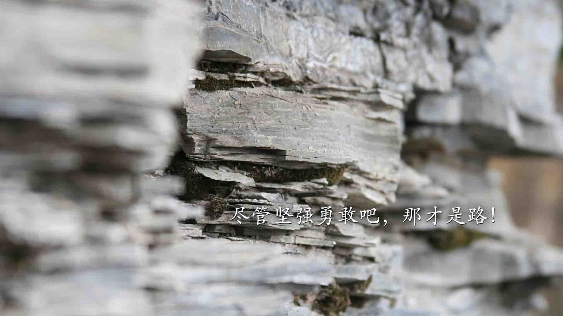 体育新闻中心热血对决再现，热血对决怎么体现