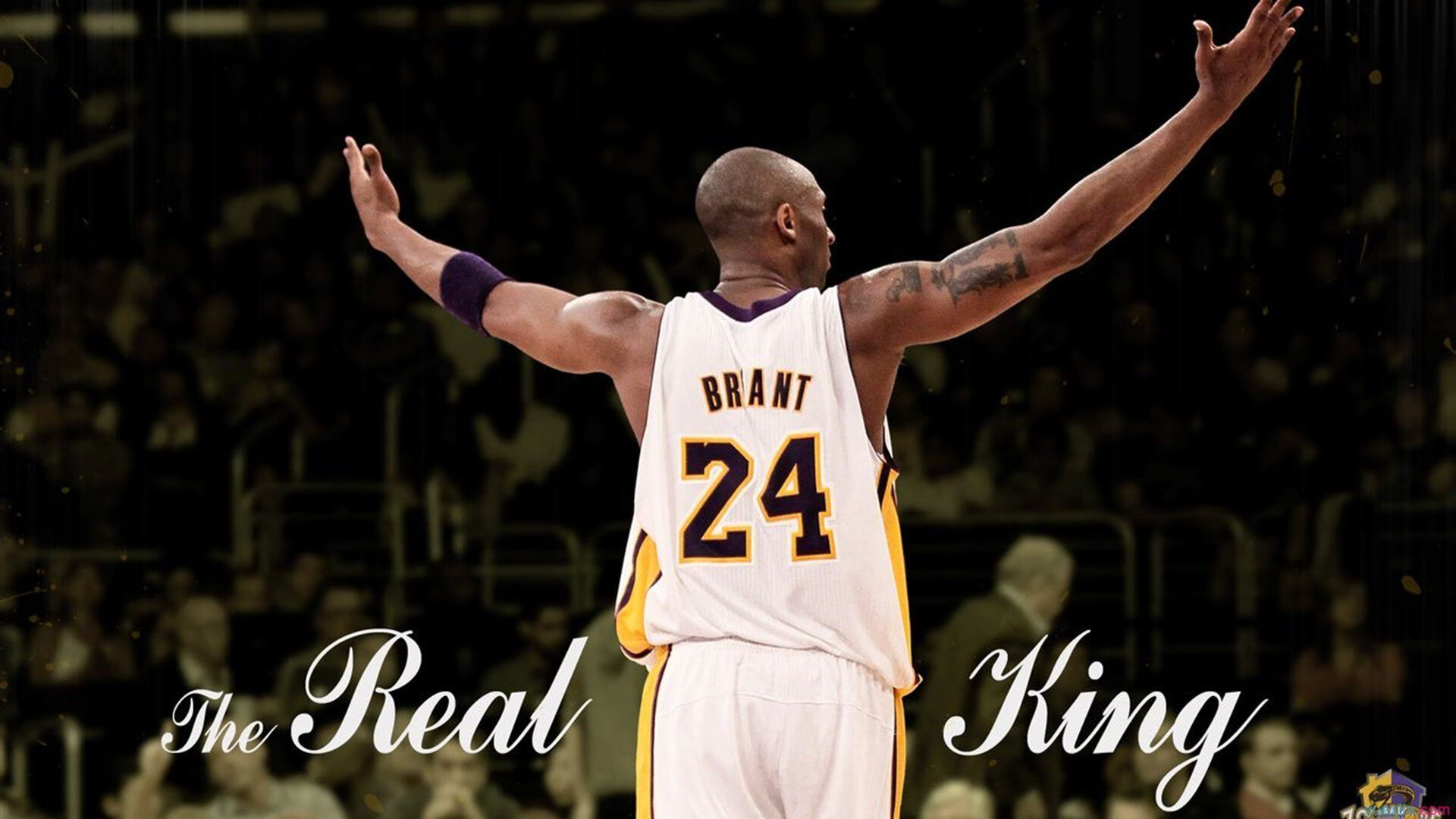 “谁才是真正的MVP？年度最强球员投票揭晓”，拿mvp最多的球员